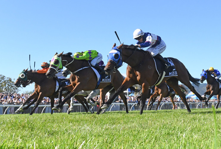 Manzor Blue shooting for Melbourne Cup golden ticket