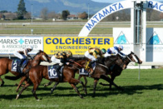 Go Racing | Moneybox Winning at Matamata