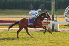 Go Racing | Deels Done Winning at Oamaru