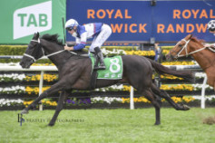 Go Racing | Wairere Falls Winning at Royal Randwick