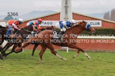 Go Racing | Pullyoursocksup Winning at Wingatui