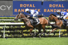 Go Racing | Mightybeel Winning at Royal Randwick