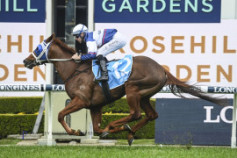 Go Racing | Quality Time Winning at Rosehill Gardens