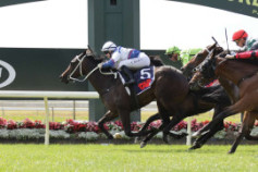 Go Racing | So Fear Winning at Pukekohe
