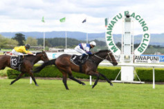 Go Racing | Gee Cee Winning at Awapuni