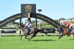 Go Racing | Waimoku Falls Winning at Ellerslie