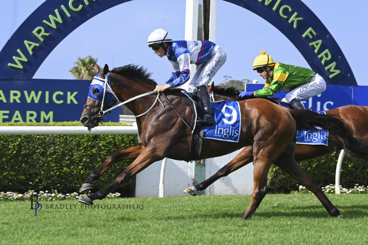 Auckland Cup on the radar for Tajanis