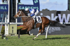 Go Racing | Skyman Winning at Rosehill Gardens