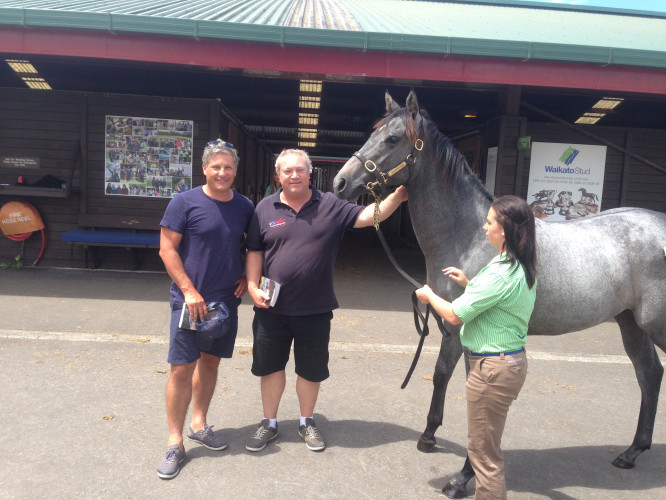 Karaka Sales Updates and Priority List