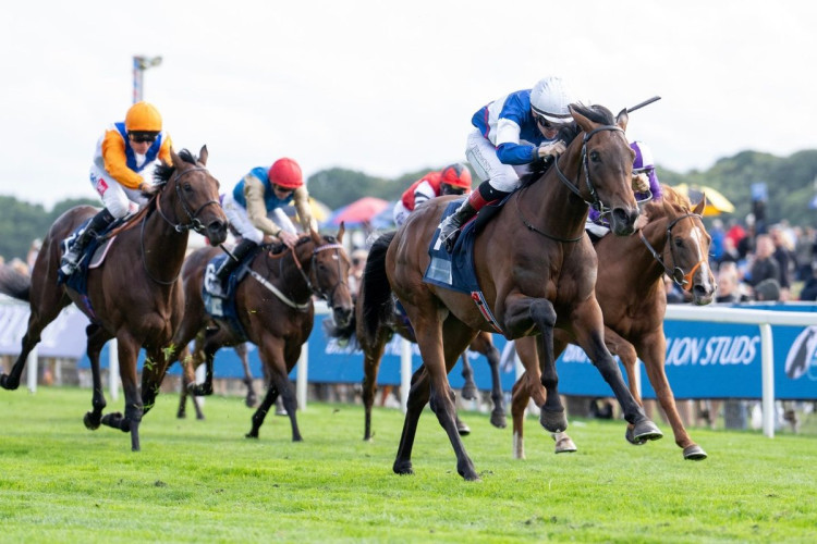 Go Racing claim the UK's richest maiden race