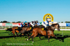 Go Racing | O'Right Zen Winning at Taranaki