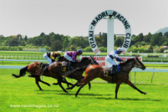 Go Racing | North And South Winning at Otaki
