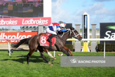 Go Racing | Izola Winning at Sale