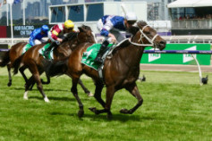 Go Racing | Atishu Winning at Flemington