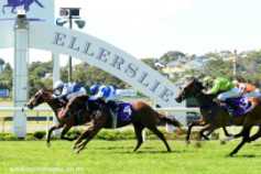 Go Racing | Passing Shot Winning at Ellerslie