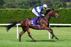 Go Racing | Dial Me In Winning at Leopardstown