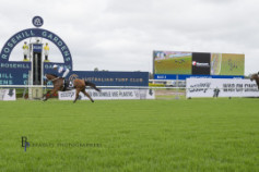 Go Racing | Tajanis Winning at Rosehill Gardens