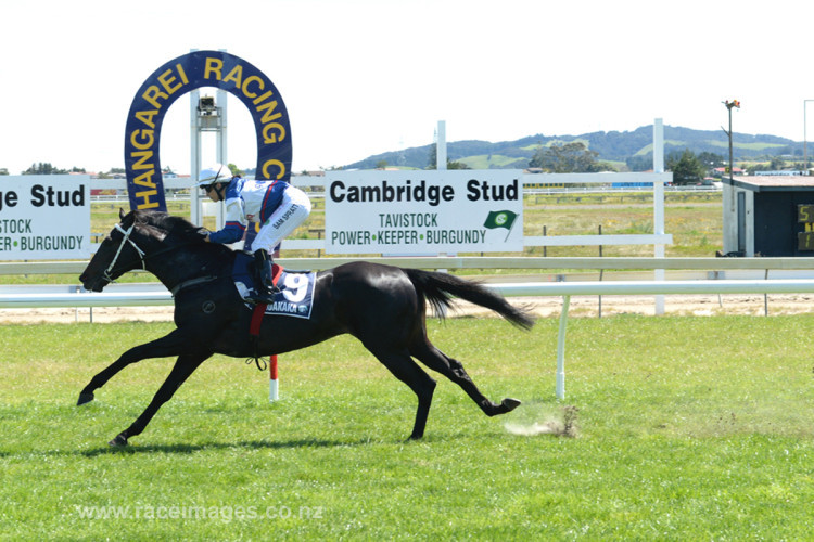 Go Racing attacks The Championships in Sydney