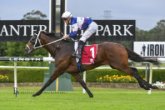 Go Racing | Mightybeel Winning at Canterbury Park