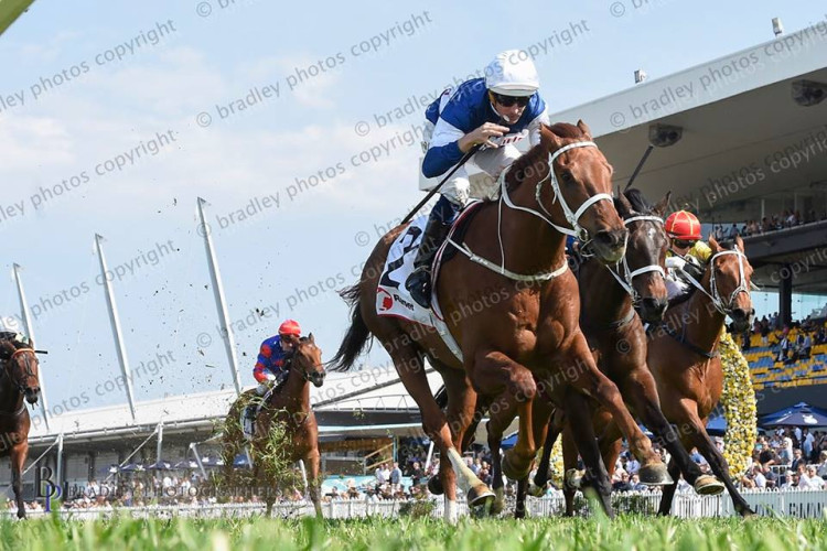 Go Racing attacks Group racing on both sides of the Tasman