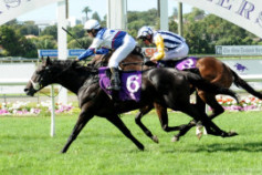 Go Racing | What's The Story Winning at Ellerslie