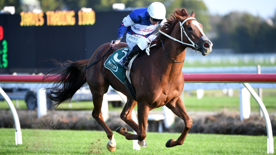 In-form filly on black-type trail in Brisbane