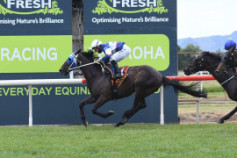 Go Racing | Starrybeel Winning at Te Aroha