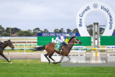 Go Racing | Logan Street Lion Winning at Geelong