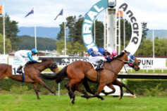 Go Racing | Mighty Solomon Winning at Awapuni