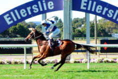 Go Racing | Ruud Awakening Winning at Auckland
