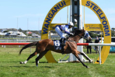 Go Racing | Apache Anne Winning at Wanganui