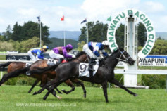 Go Racing | Black Sav Winning at Awapuni