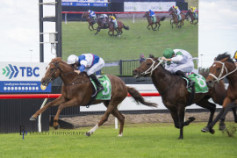 Go Racing | Graffiti Tycoon Winning at Kembla Grange