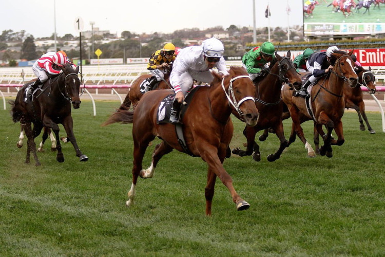 Black Type attack on both sides of the Tasman