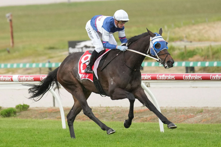 Go Racing chasing million-dollar dream [Go Racing]
