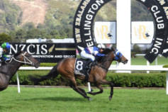 Go Racing | Diss Is Dramatic Winning at Trentham