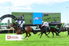 Go Racing | Moktaffy Winning at Eagle Farm