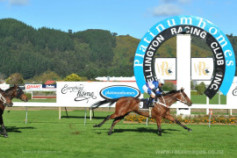 Go Racing | North and South Winning at Wellington