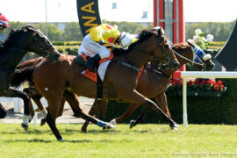 Go Racing | Seize The Moment Winning at Te Rapa