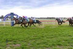 Go Racing | Skyman Winning at Hawkesbury