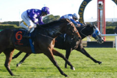 Go Racing | Ivy's Gold Winning at Te Rapa
