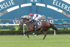 Go Racing | Miss Janet Winning at Ellerslie