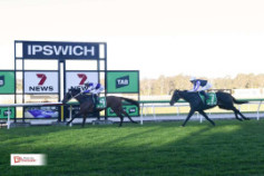 Go Racing | Bitoftheblarney Winning at Ipswich