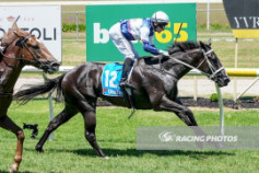 Go Racing | Pacific Chill Winning at Yarra Valley