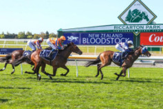 Go Racing | Diss Is Dramatic Winning at Riccarton