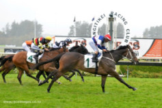Go Racing | Thorn Pass Winning at Awapuni