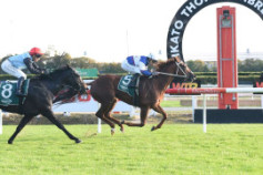 Go Racing | Velocious Winning at Te Rapa