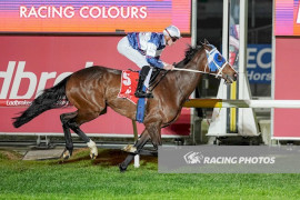 Go Racing | Pariah Pearl Winning at Cranbourne
