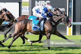 Go Racing | Saveadateforme Winning at Mornington