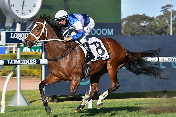 Go Racing | Pike Win